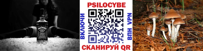 Псилоцибиновые грибы Psilocybe  даркнет сайт  Иваново 
