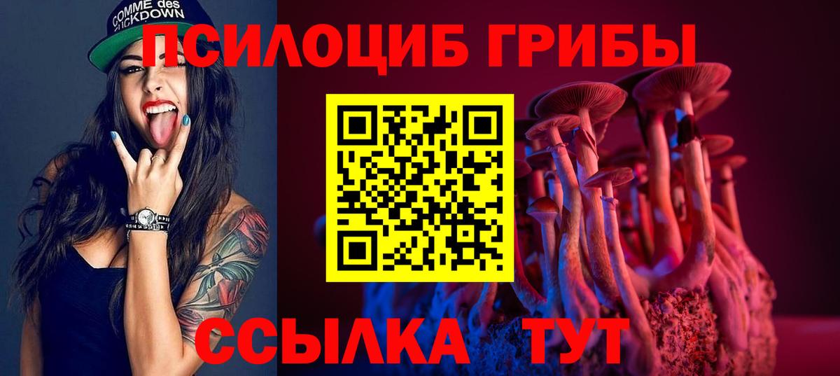 Псилоцибиновые грибы прущие грибы Иваново