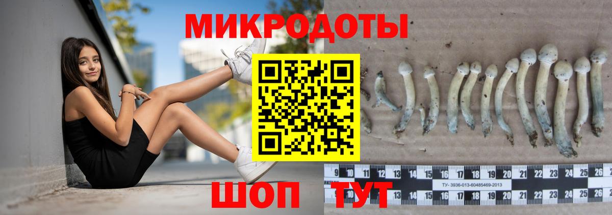 Иваново  Галлюциногенные грибы Cubensis  Вход с VPN 
